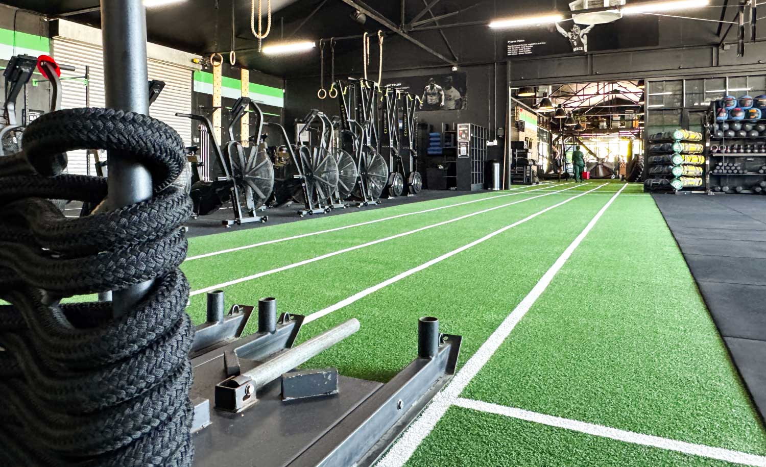 Fitlife Free Weights Area